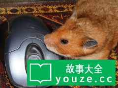 SCPCN1114是什么?