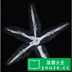 SCPCN1249是什么?