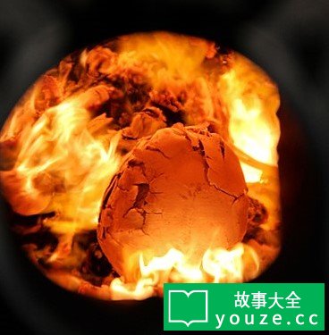 SCPCN1629是什么?