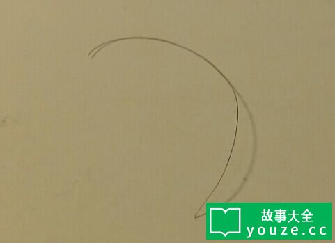 SCPCN1741是什么?